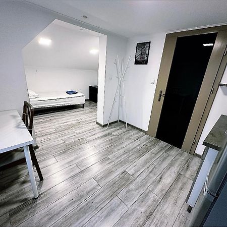 Apartamenty Retro Dabrowa Gornicza Luaran gambar